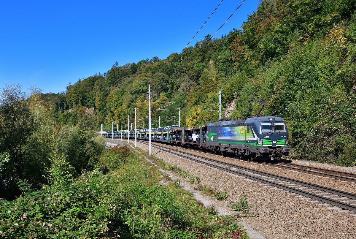 193 249 mit einem Autozug am 01.10.2020 bei Ingling.