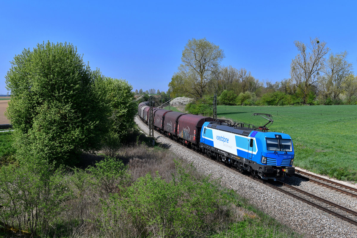 193 250 mit DGS 48963 am 19.04.2018 bei Langenisarhofen. 