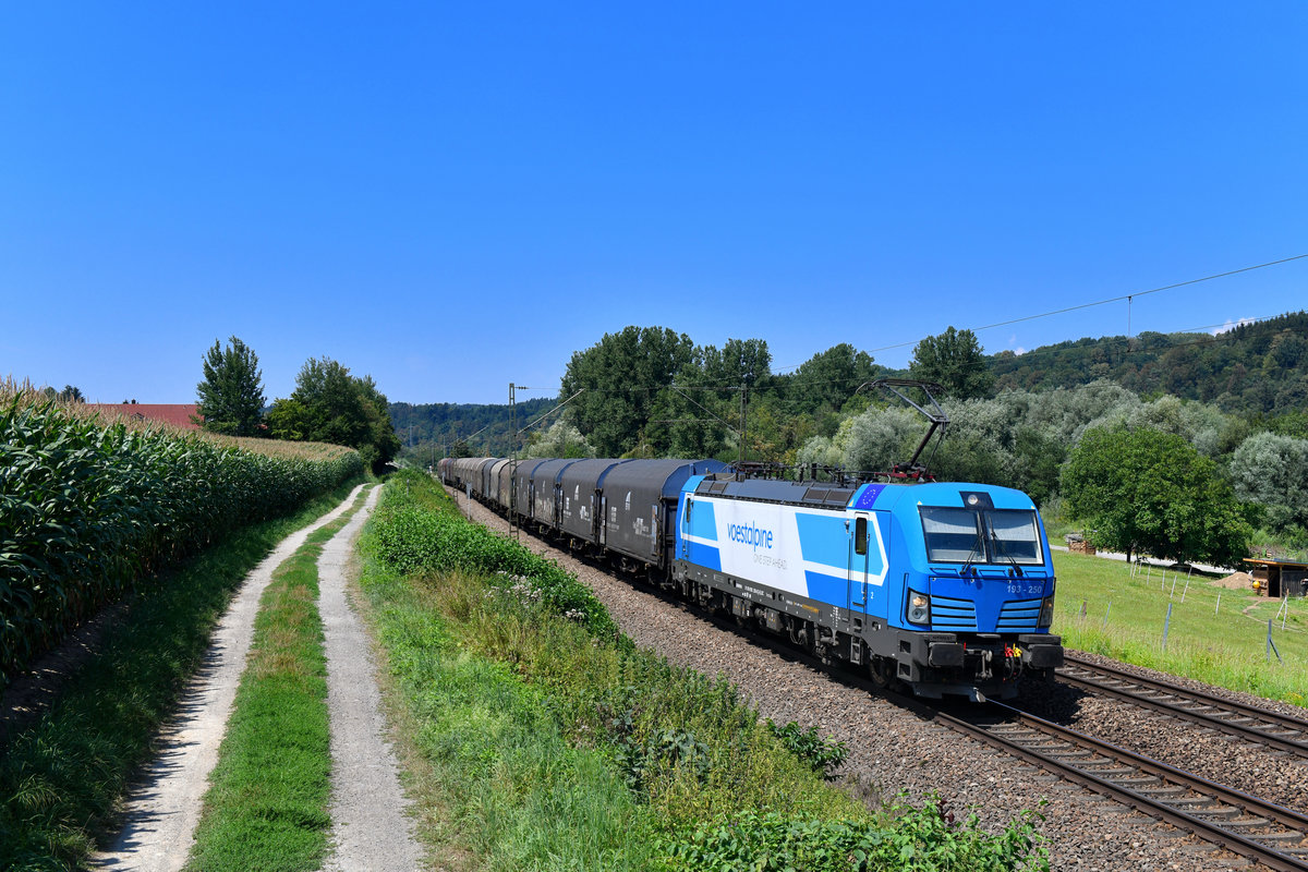 193 250 mit DGS 48963 am 31.07.2018 bei Seestetten. 
