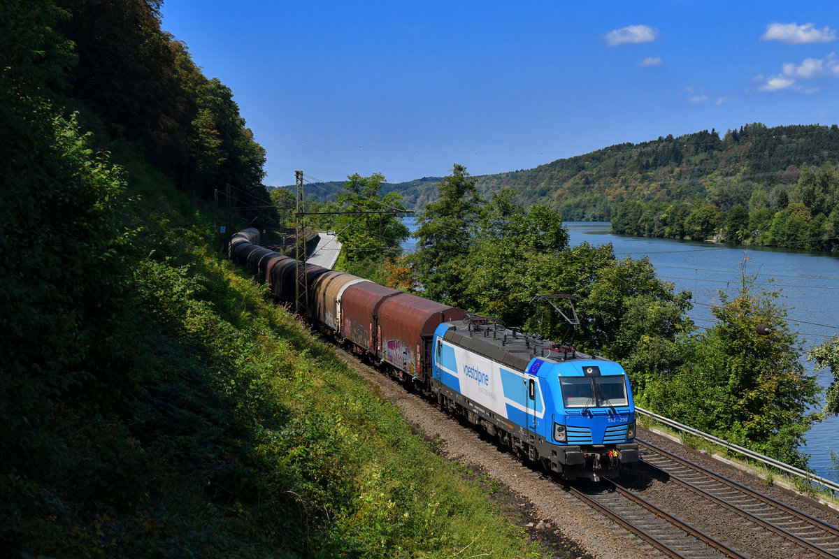 193 250 mit DGS 48963 am 16.08.2018 bei Seestetten. 