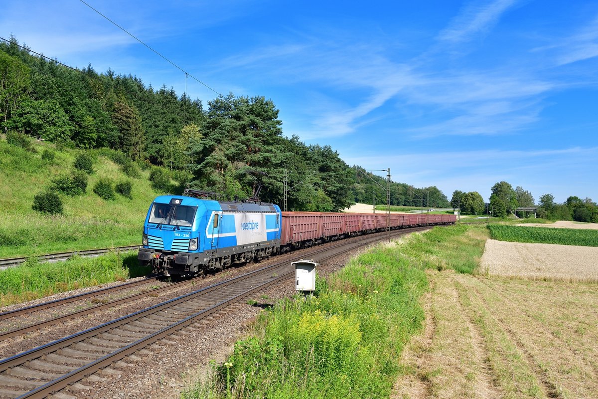 193 250 mit DGS 48963 am 14.07.2020 bei Vilshofen.
