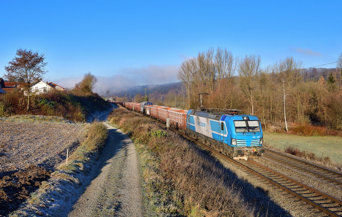193 250 mit DGS 48963 am 30.11.2020 bei Seestetten.