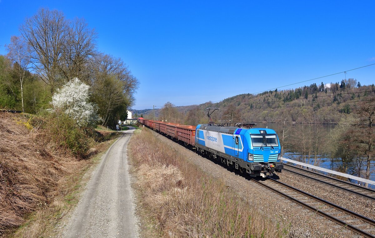 193 250 mit DGS 48963 am 04.04.2022 bei Seestetten. 
