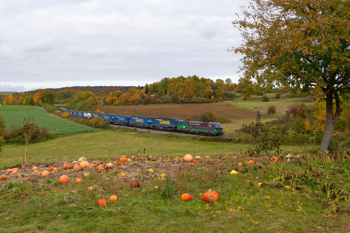 193 252 ELL/TXL  We love to Connect  mit einem LKW-Walter KLV-Zug bei Laaber Richtung Regensburg, 24.10.2020