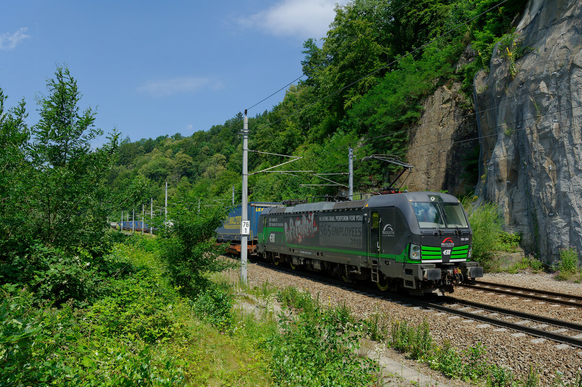 193 264 ELL/TXL  Born to Rail  mit einem LKW-Walter KLV-Zug bei Wernstein Richtung Wels, 22.07.2020