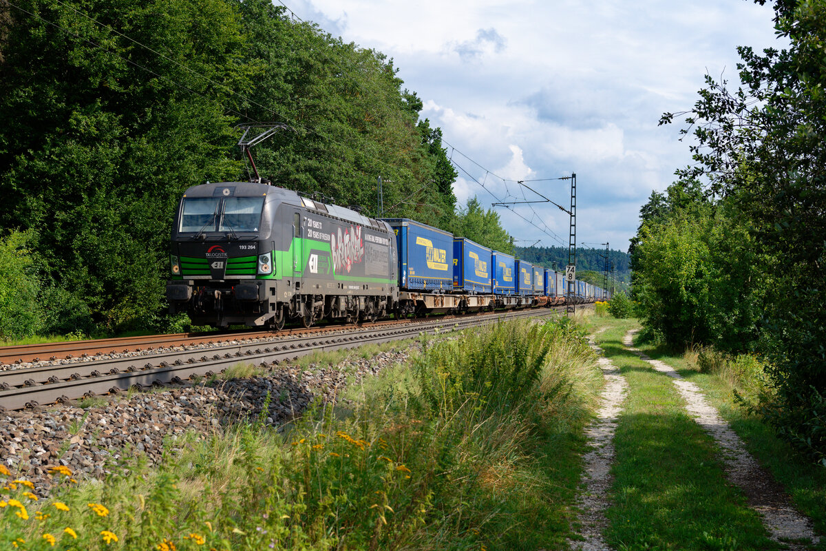 193 264 ELL/TXL  Born to Rail  mit einem LKW-Walter KLV-Zug bei Postbauer-Heng Richtung Nürnberg, 15.08.2020