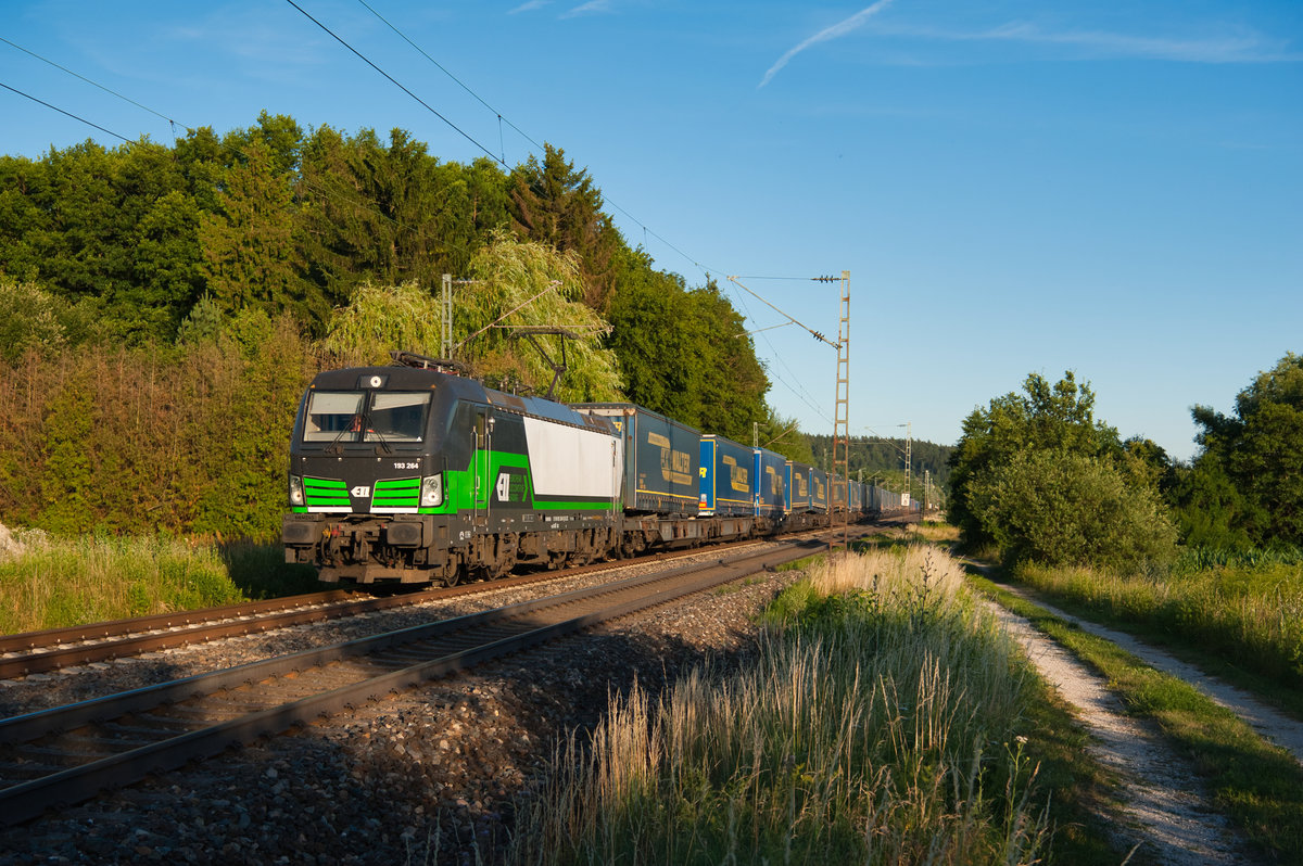 193 264 mit dem DGS 41160 (Budapest Soroksar Terminal - Wanne-Eickel) bei Postbauer-Heng, 04.07.2019