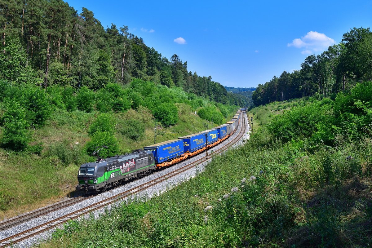 193 264 mit DGS 41160 am 09.08.2020 bei Sinngrün.