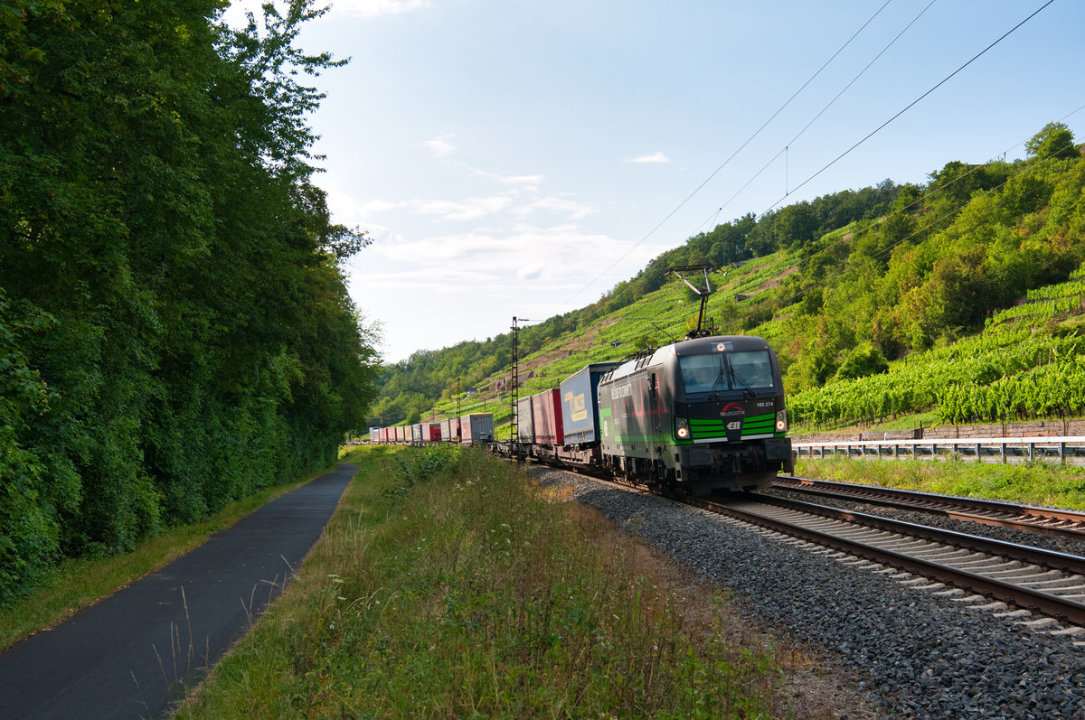 193 274 ELL/TXL mit einem KLV-Zug bei Gambach Richtung Würzburg, 01.08.2019