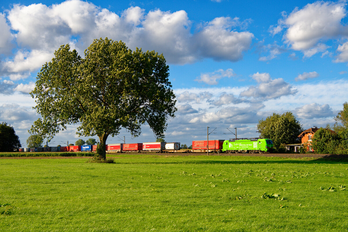 193 281 ELL/TXL  Green Deal on Track  mit einem KLV-Zug bei Triesdorf Richtung Treuchtlingen, 26.08.2020