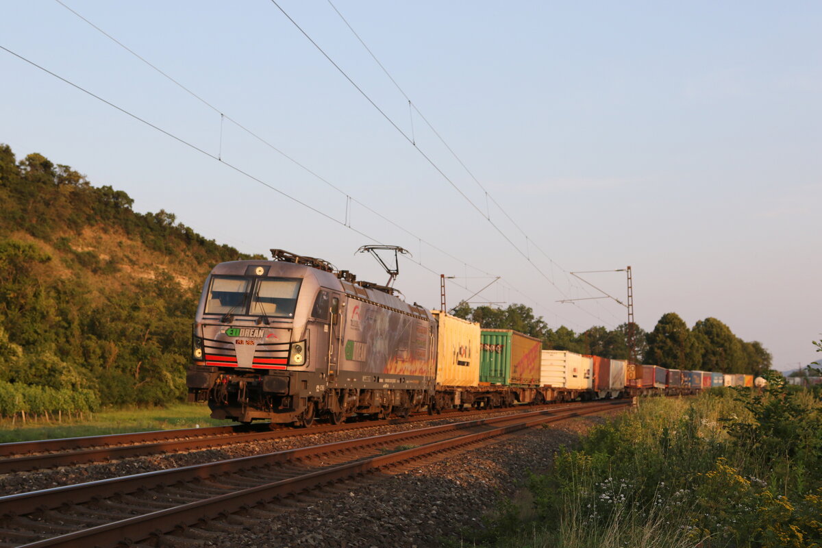 193 282  ELLOREAN  mit einem  KLV  aus Würzburg kommend am 23. Juli 2021 bei Himmelstadt am Main.