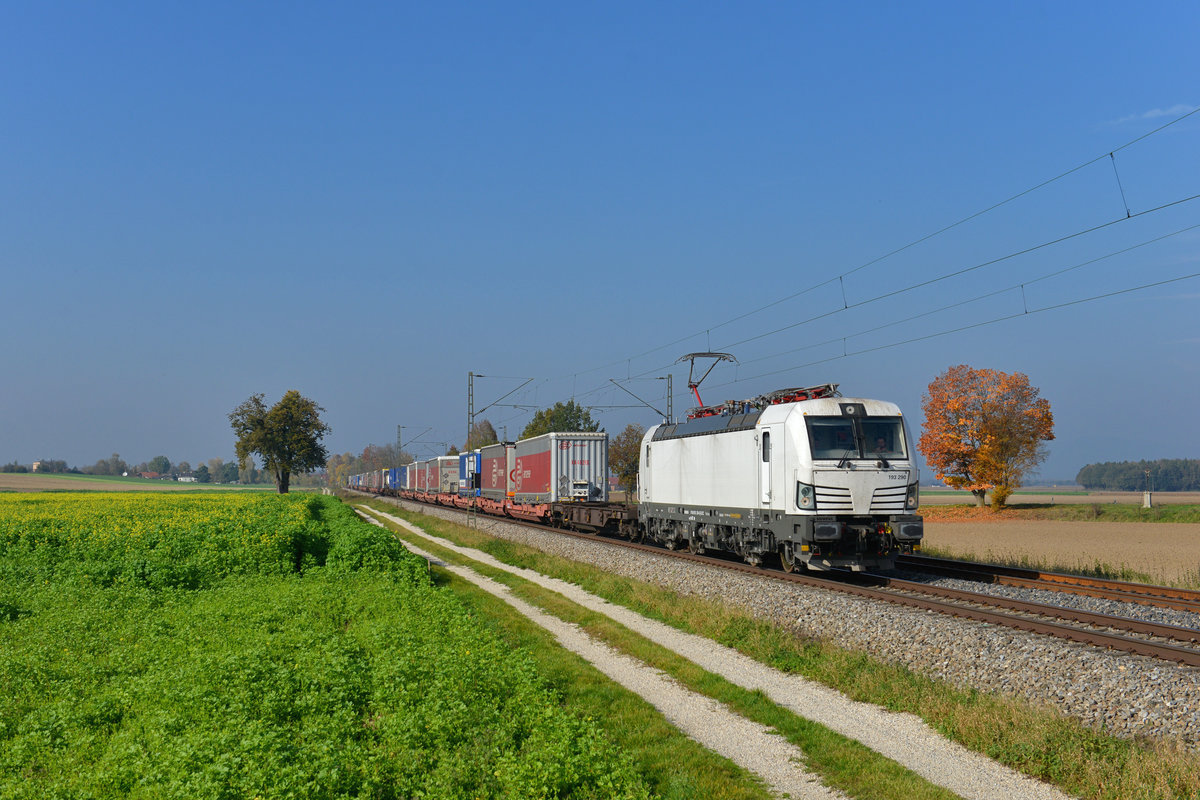 193 290 mit DGS 40641 am 20.10.2017 bei Langenisarhofen. 