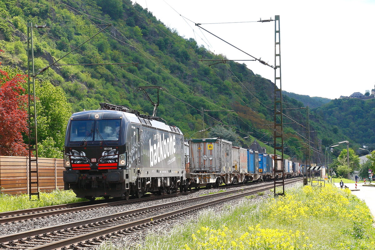 193 318 backbone auf der Mittelrheinstrecke am 08.05.2024 bei Braubach in Richtung KKo