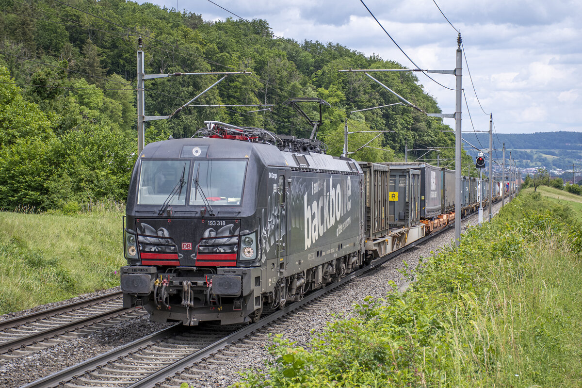 193 318  backbone  ist bei Villnachern AG (CH) unterwegs in Richtung Basel, aufgenommen am 28.05.2022.