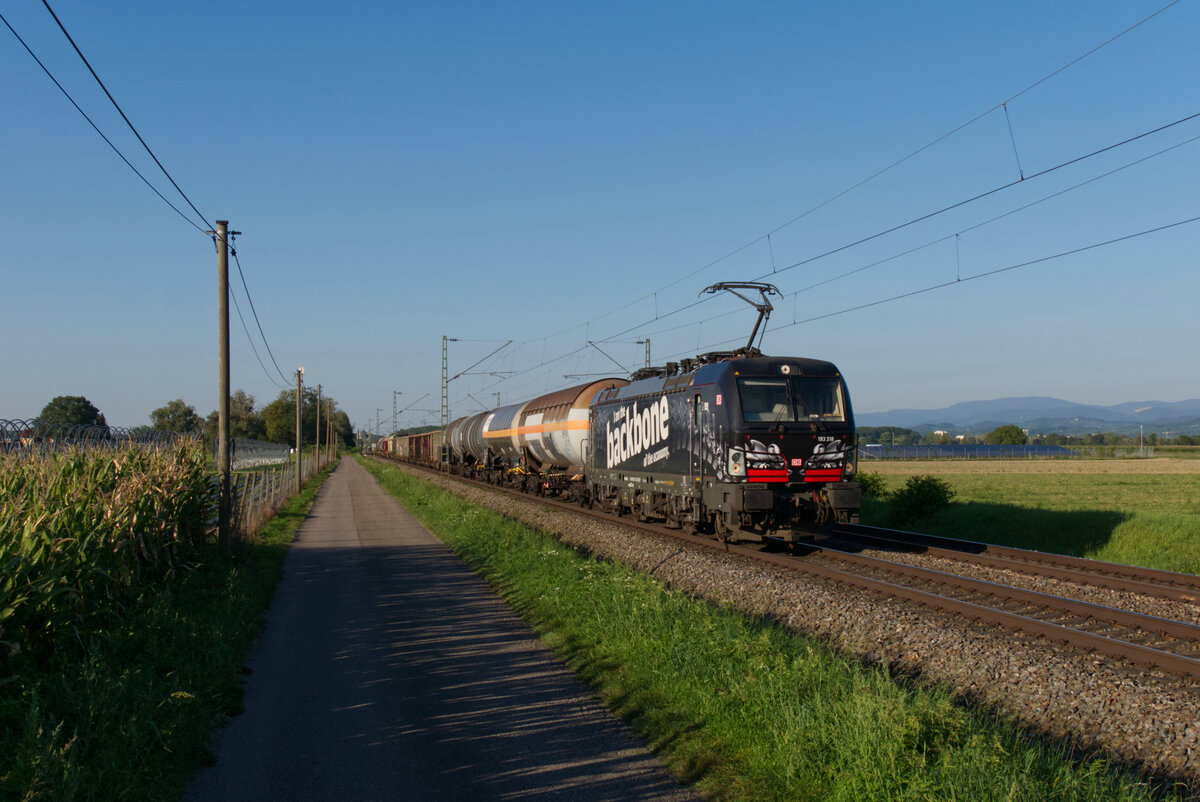 193 318 mit EZ 44603 (Mannheim Rbf - Basel SBB Rb) bei Niederschopfheim 06.09.2023