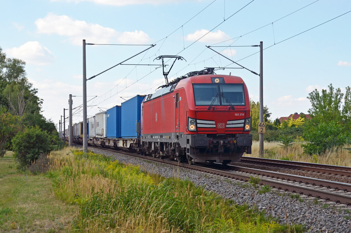 193 319 führte am 31.07.22 einen Schenker-KLV durch Greppin Richtung Bitterfeld.
