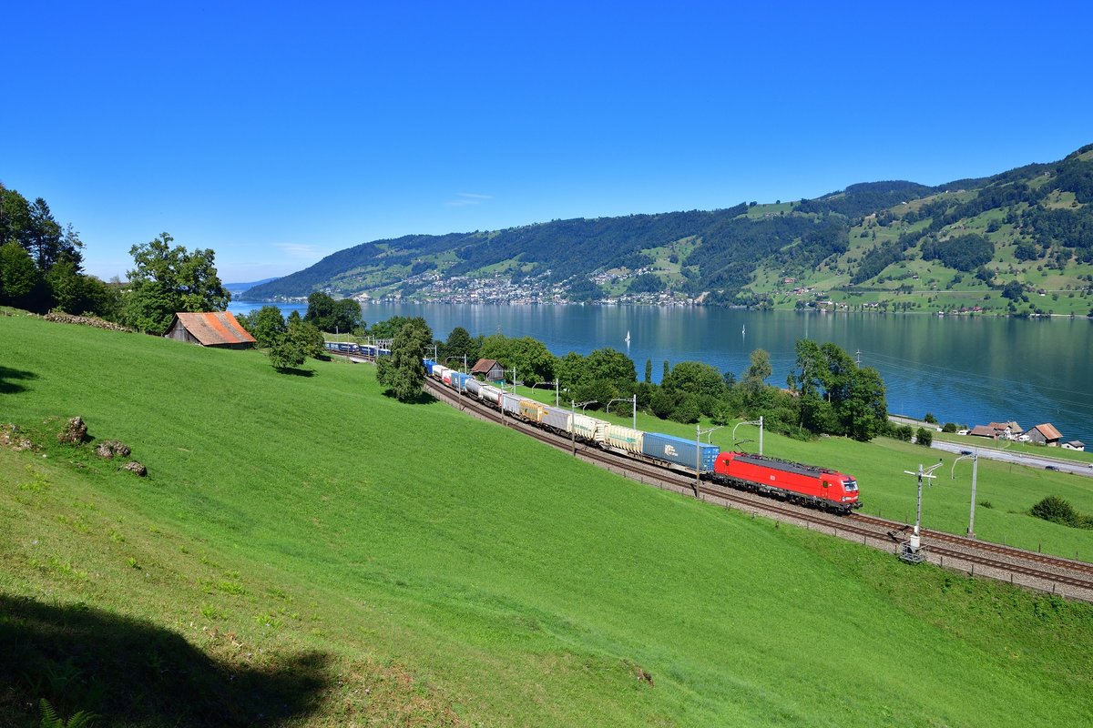 193 343 mit einem KLV am 04.09.2020 bei Arth.