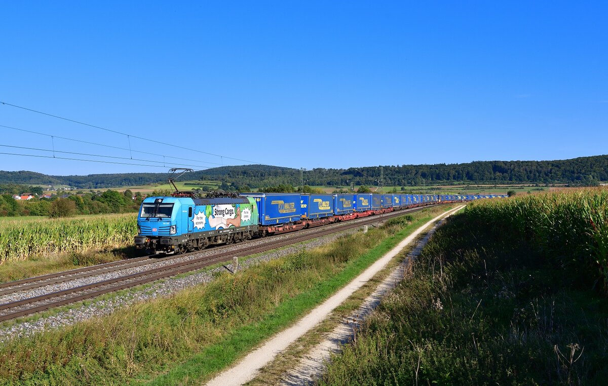 193 368 mit einem KLV am 25.09.2021 bei Wettelsheim.
