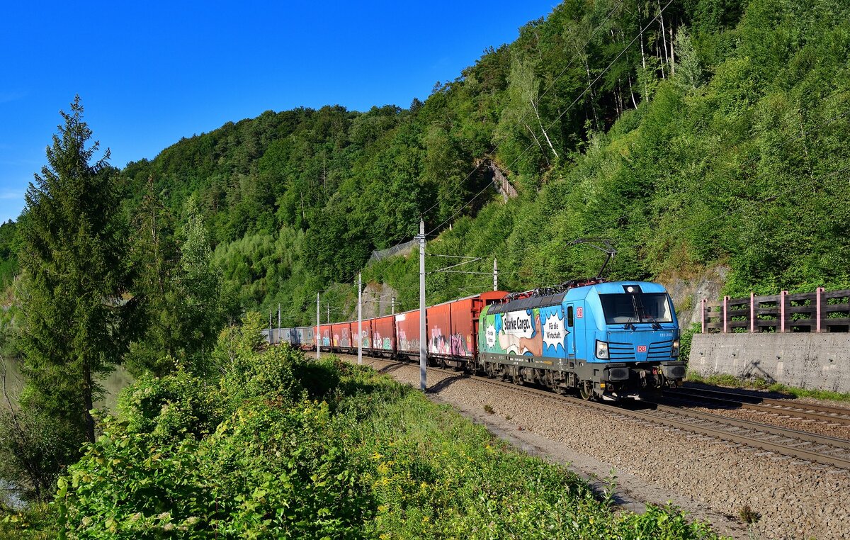 193 368 mit GAG 47151 am 02.08.2022 bei Ingling.