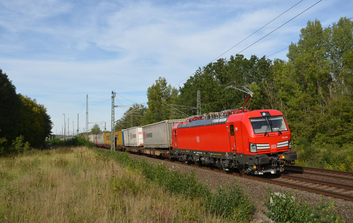 193 394 führte am 15.09.19 einen Schenker-KLV durch Muldenstein Richtung Bitterfeld.