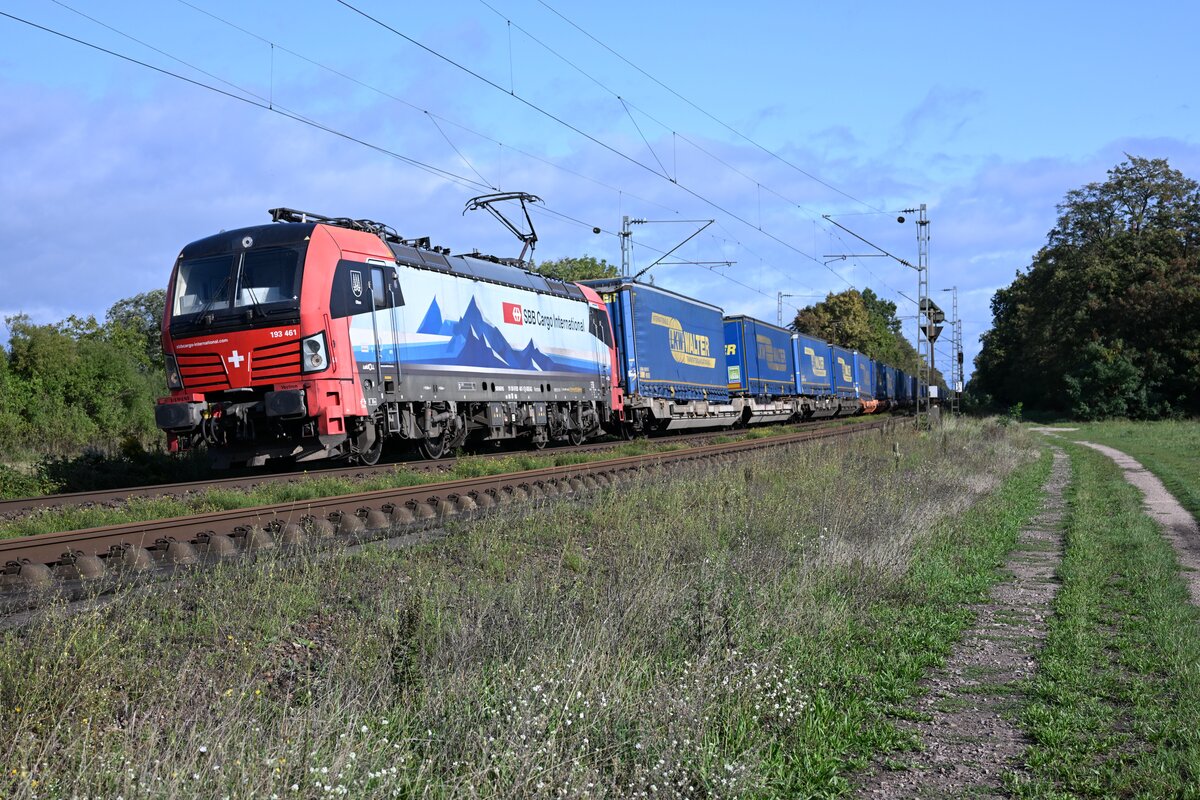 193   461      Waghäusel     11.09.25