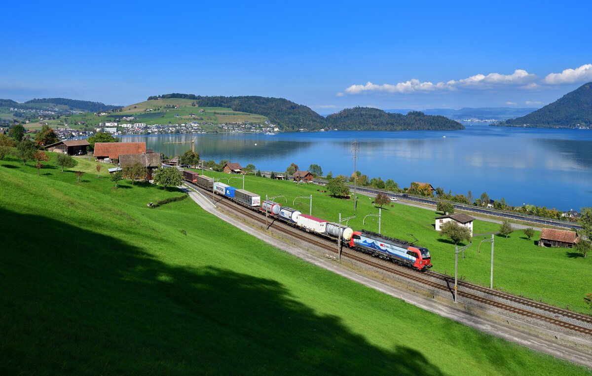 193 478 mit einem KLV am 06.10.2022 bei Immensee.