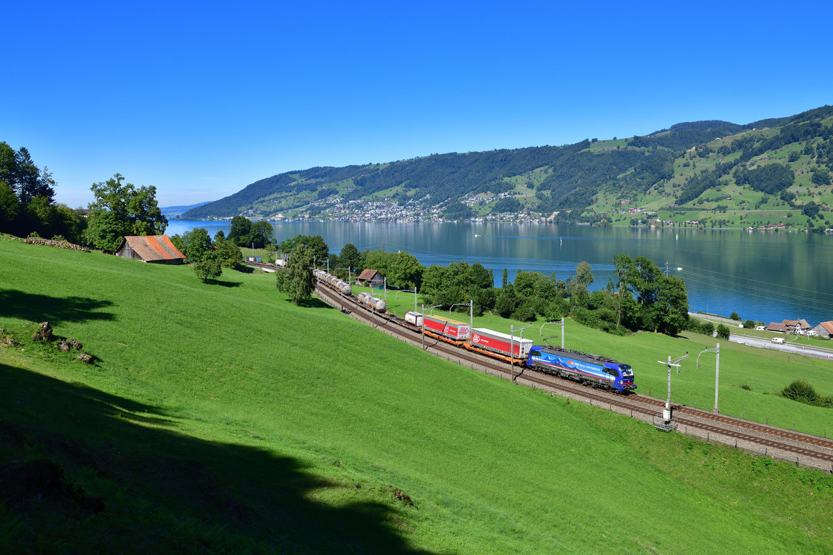 193 516 mit einem KLV am 04.09.2020 bei Arth.