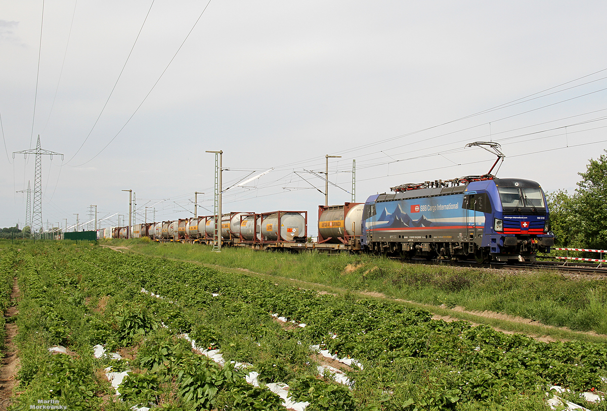 193 519 bei Hürth Fischenich am 16.05.2020