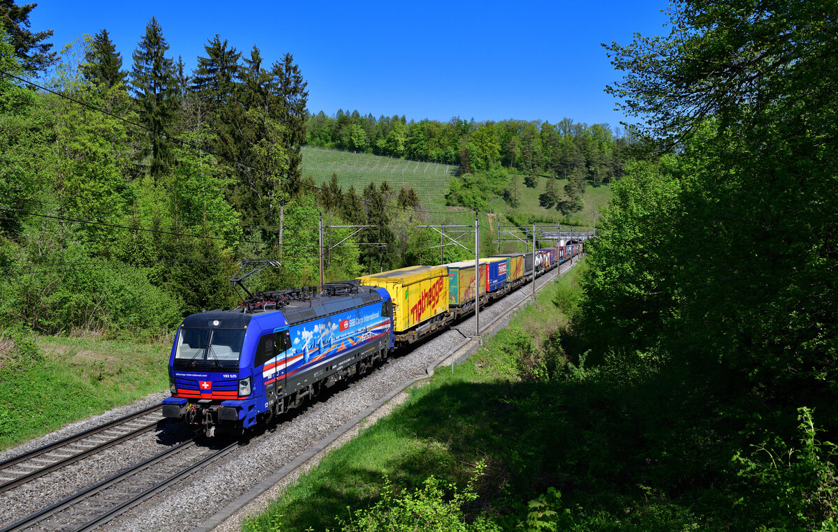 193 525 mit einem KLV am 28.04.2022 bei Villnachern.
