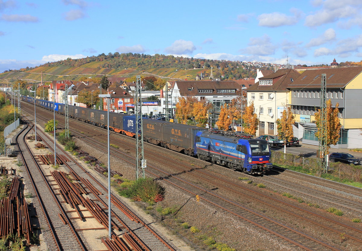 193 528 mit Containerganzzug am 27.10.2020 in Oberesslingen. 