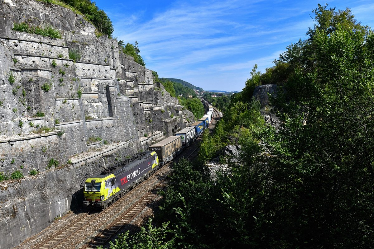 193 554 mit einem KLV am 20.07.2019 bei Treuchtlingen. 