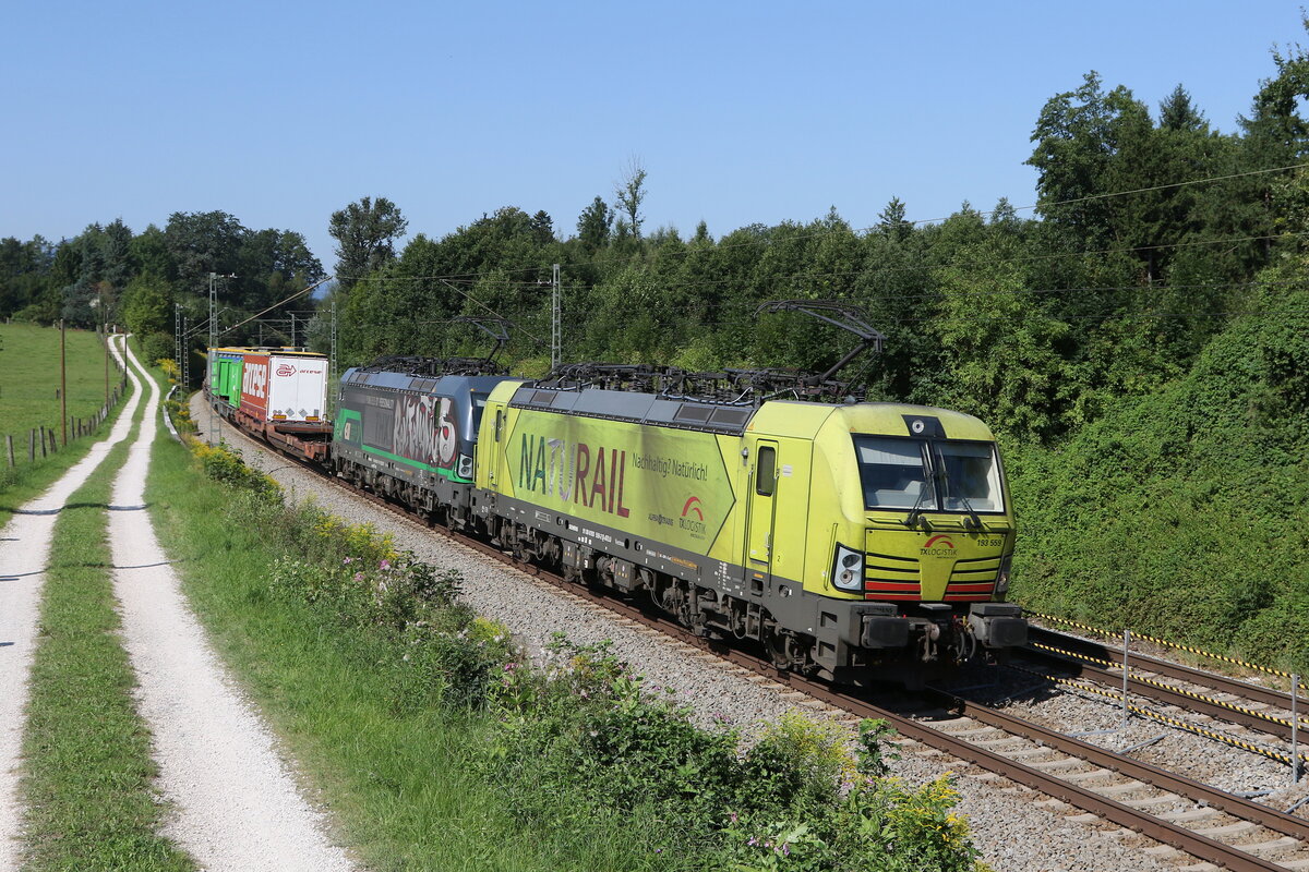 193 559 und 193 731 mit einem  KLV  am 21. August 2023 bei Sossau im Chiemgau.