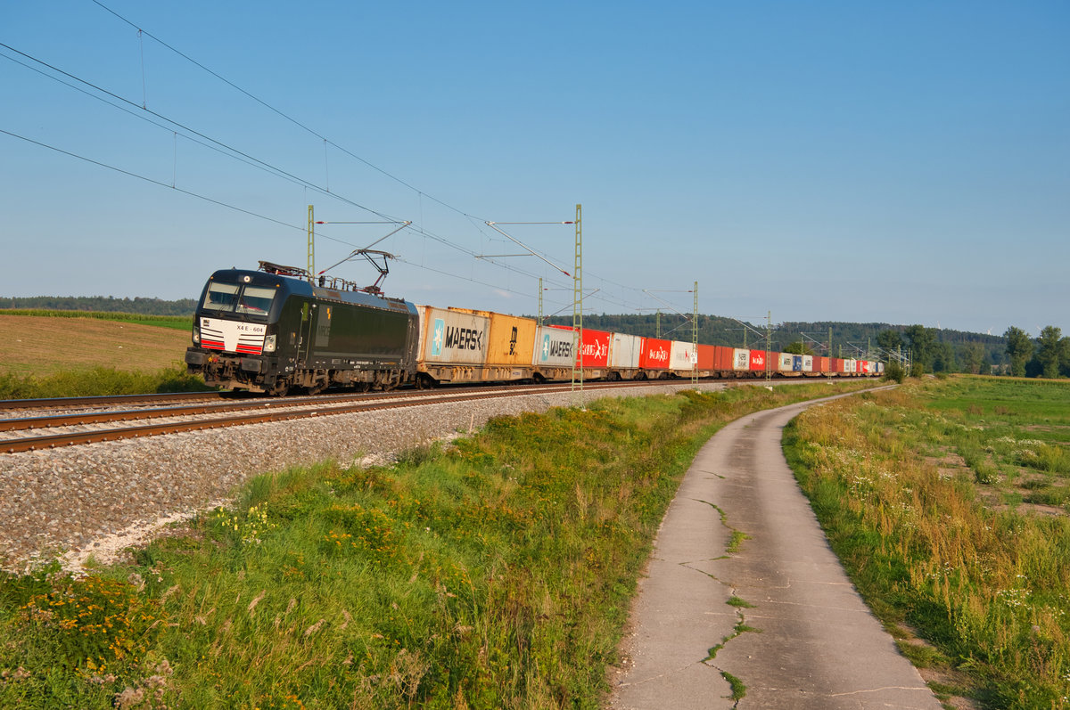 193 604 MRCE/boxxpress mit einem Containerzug bei Mitteldachstetten Richtung Würzburg, 31.08.2019