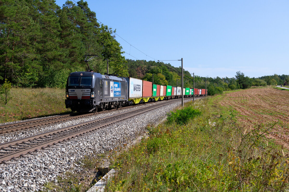 193 605 MRCE/WLC mit einem Containerzug bei Hagenbüchach Richtung Würzburg, 19.09.2020