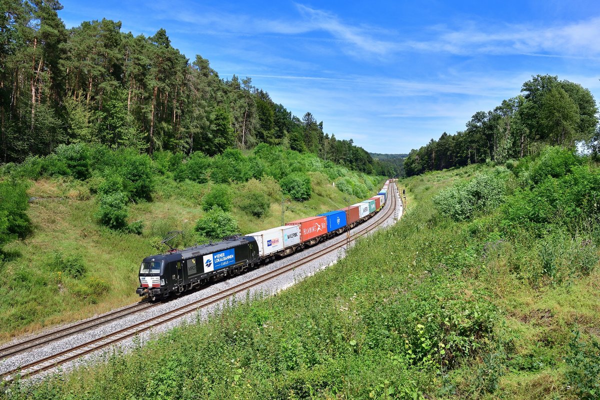 193 606 mit einem Containerzug am 29.07.2020 bei Sinngrün.