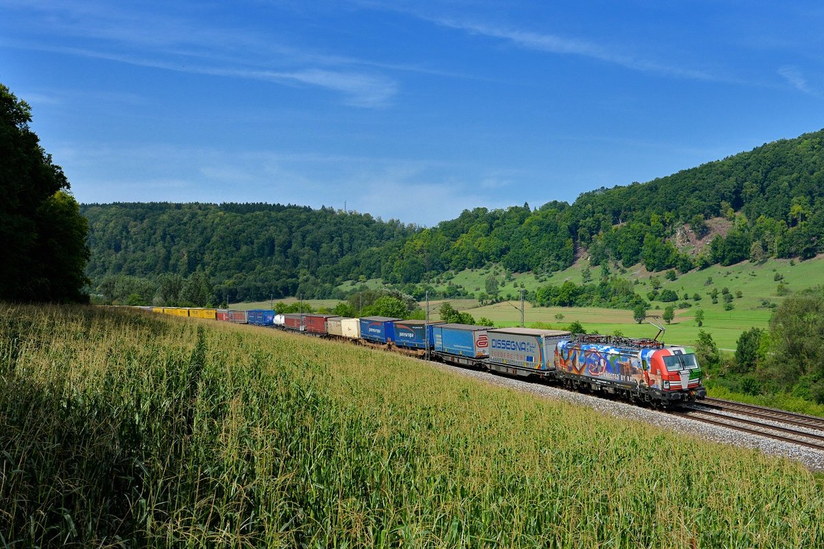 193 640 mit DGS 43109 am 30.08.2017 bei Obereichstätt. 