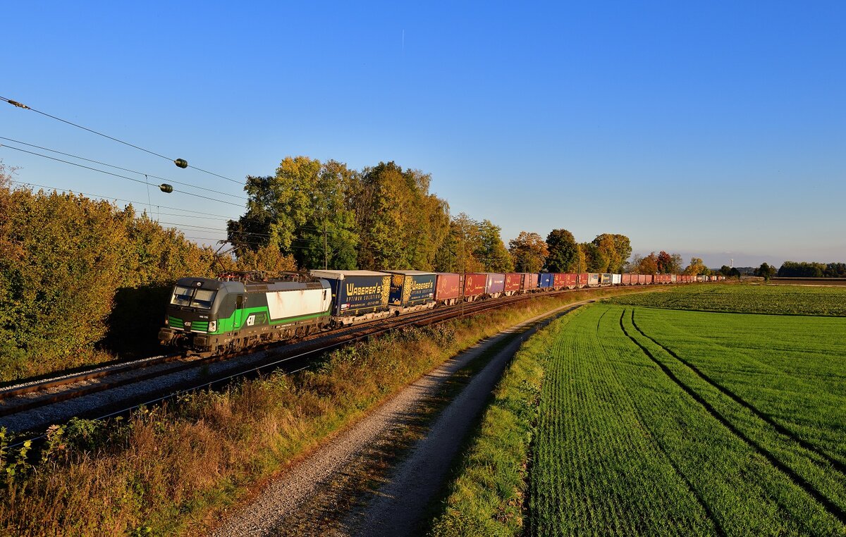 193 733 mit einem KLV am 16.10.2021 bei Langenisarhofen.