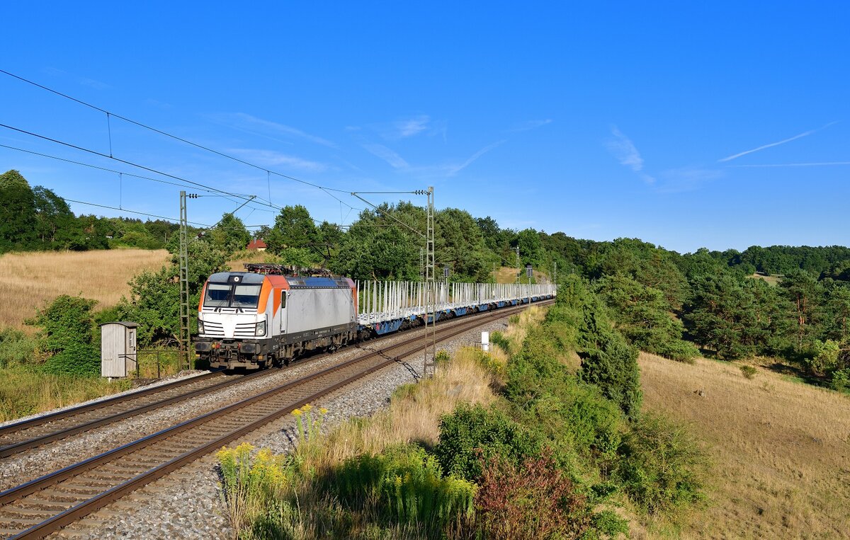 193 755 mit einem leeren Holzzug am 03.08.2022 bei Laaber.