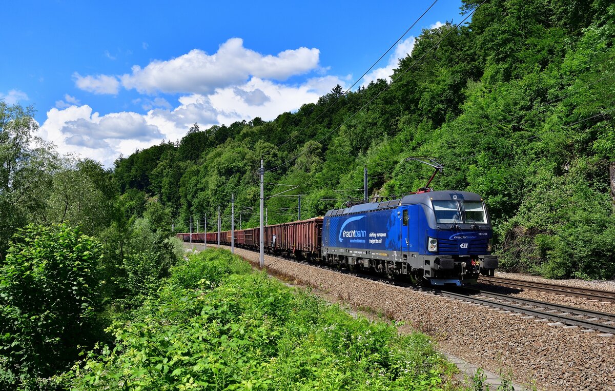 193 764 mit einem Holzzug am 26.06.2021 bei Ingling.