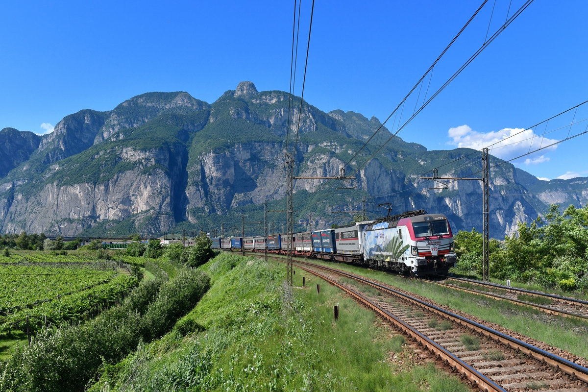 193 773 mit TEC 43823 am 23.06.2018 bei San Michele all'Adige. 