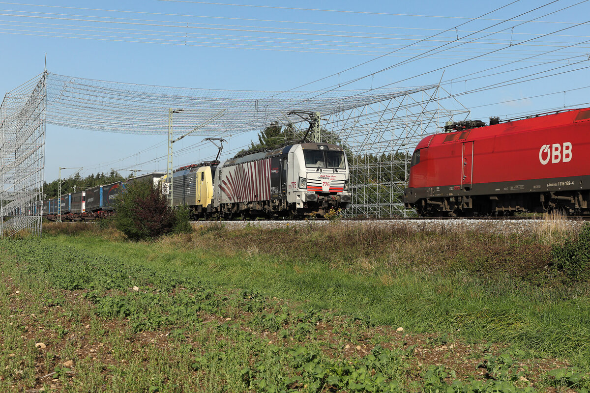 193 775 und viele mehr am 1 Oktober bei Zorneding. Es werden im Moment die Drähte der Strommasten neu gespannt oder so etwas, und damit nix runterfällt, ist diese Gerüst wie ein kleiner Tunnel aufgebaut.