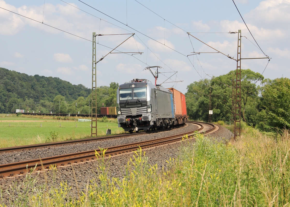 193 804-2 mit Containerzug in Fahrtrichtung Süden. Aufgenommen bei Hermannspiegel am 09.07.2013.
