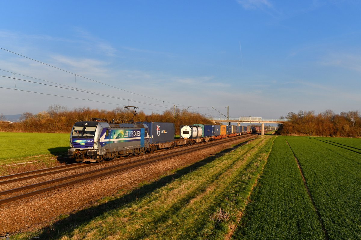 193 810 mit DGS 40678 am 29.03.2019 bei Stephansposching. 