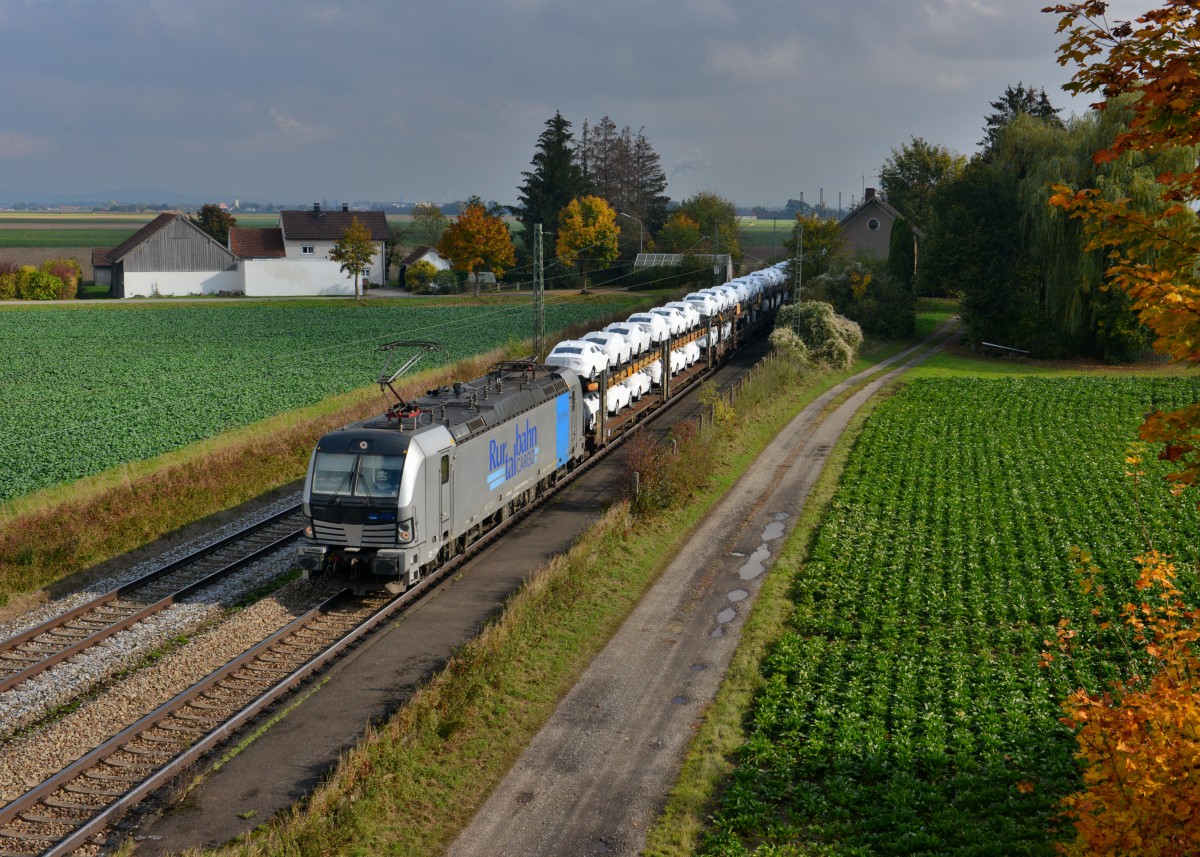 193 810 mit DGS 47160 am 17.10.2015 bei Stephansposching. 