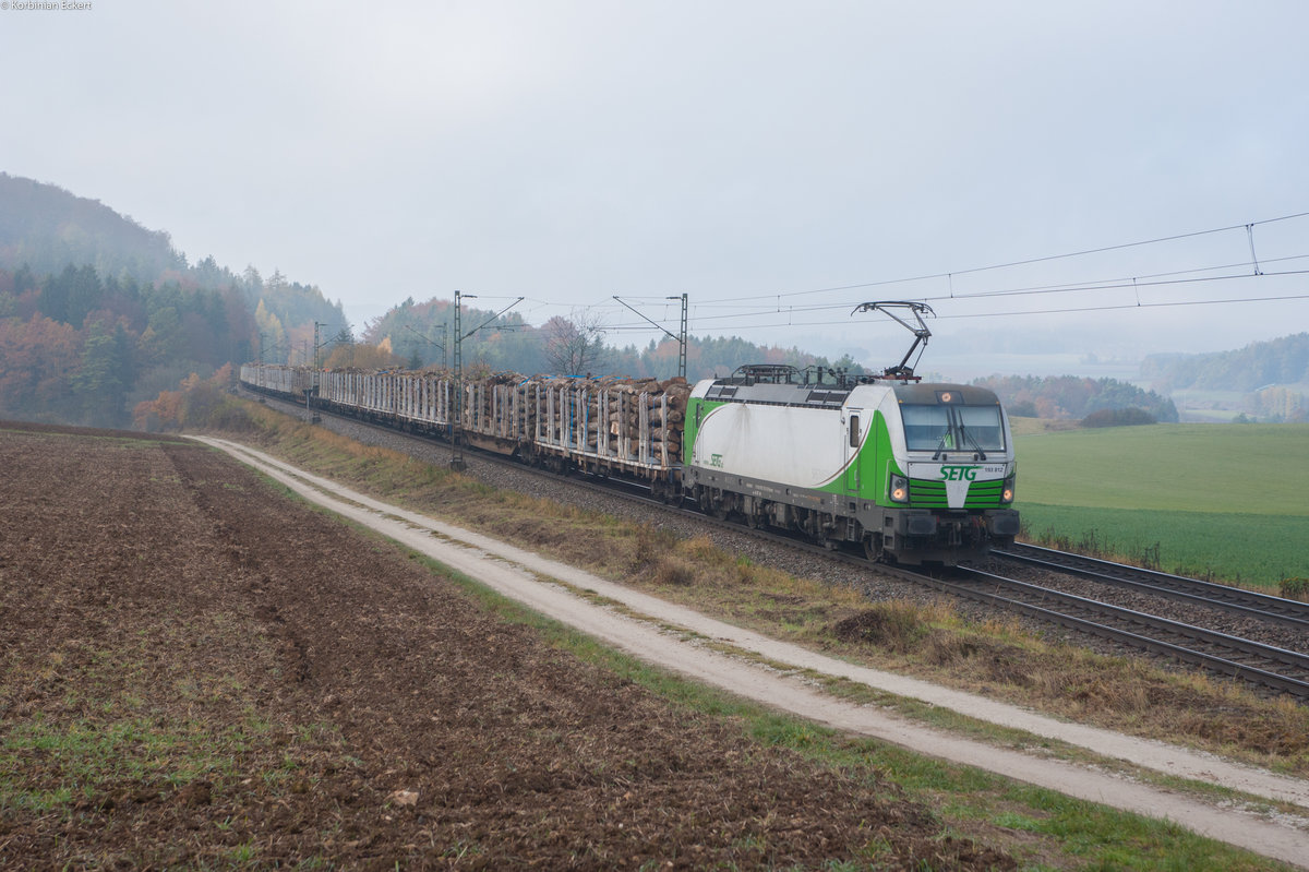 193 812 der SETG mit einem Holzzug bei Parsberg Richtung Regensburg, 04.11.2016