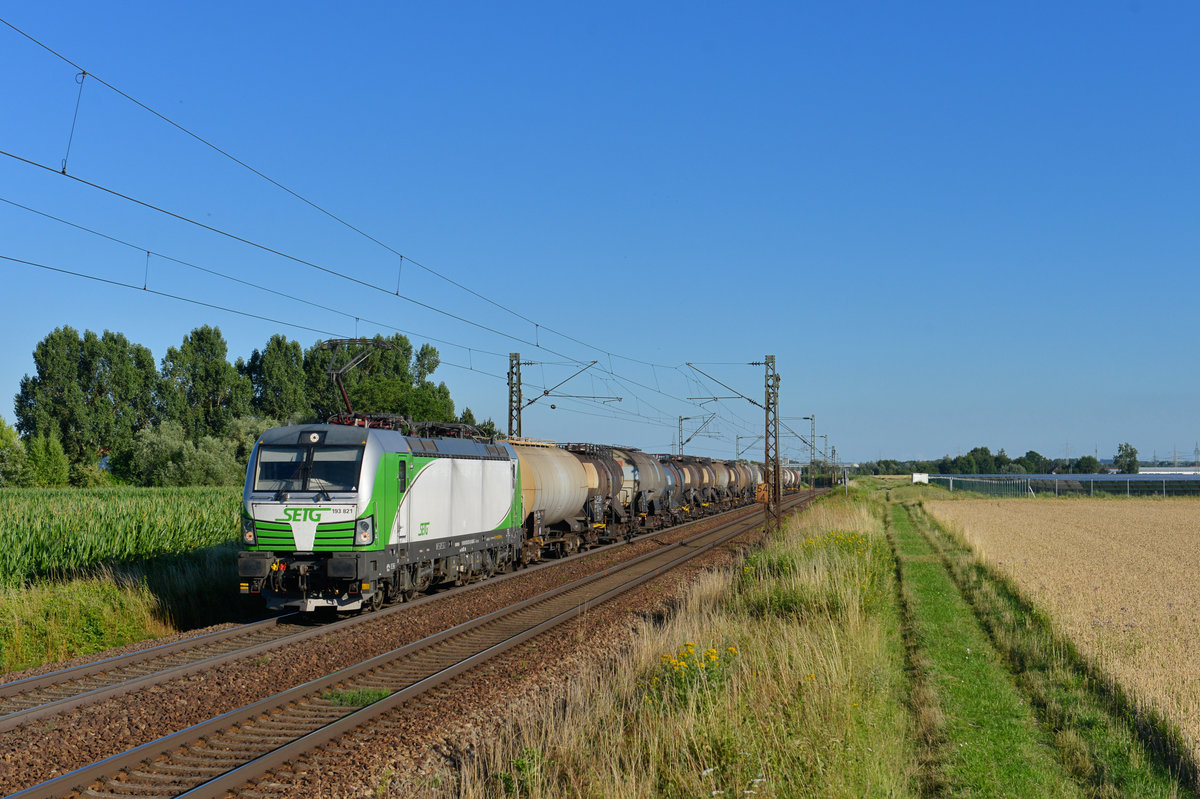 193 821 mit einem Knickkesselzug am 13.07.2017 bei Plattling. 
