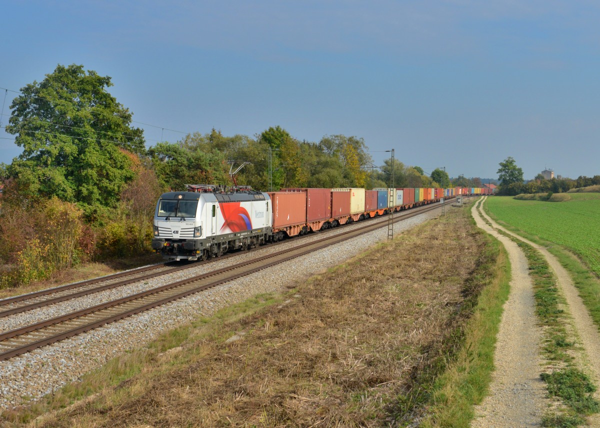 193 822 mit einem Containerzug am 11.10.2015 bei Langenisarhofen. 