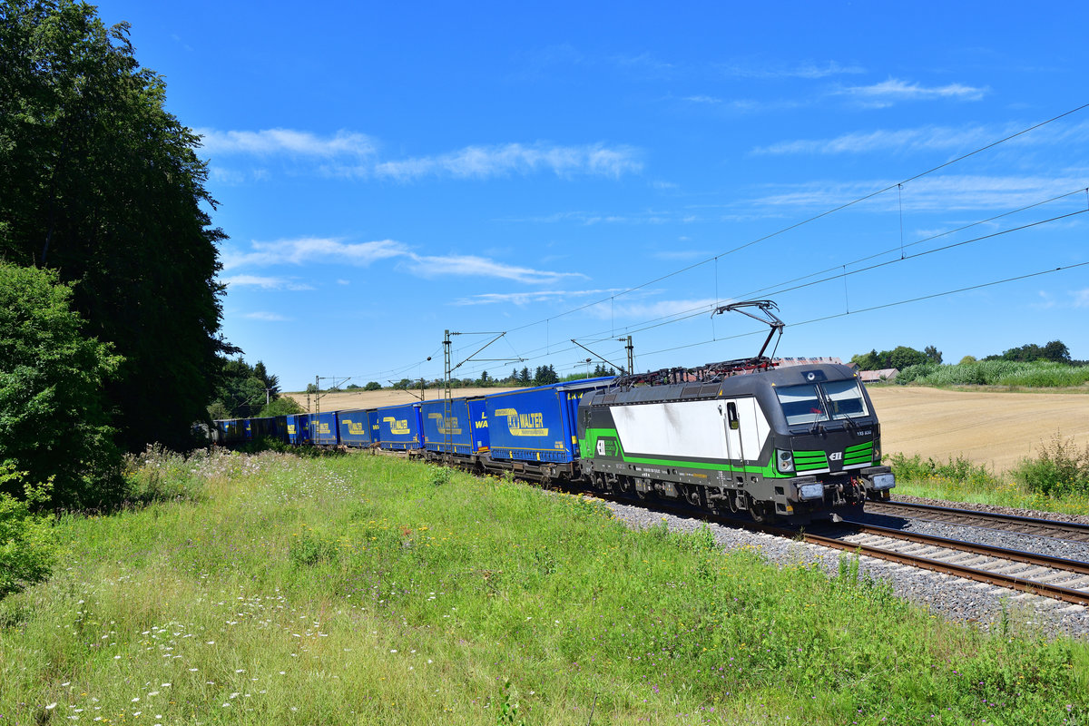 193 830 mit DGS 43945 am 06.08.2020 bei Laaber.