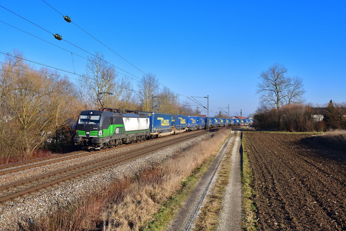 193 830 mit DGS 43946 am 23.01.2020 bei Langenisarhofen.