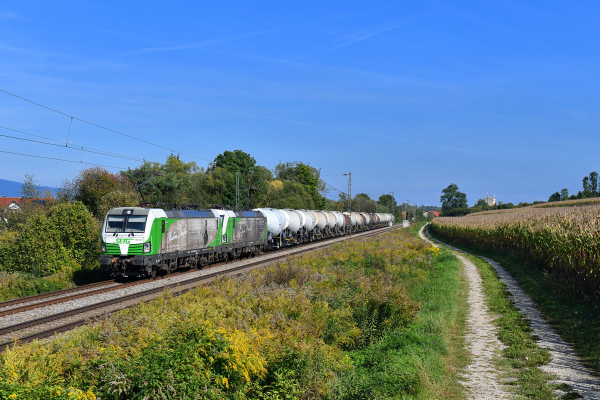 193 831 + 193 204 mit DGS 46198 am 16.09.2018 bei Langenisarhofen. 